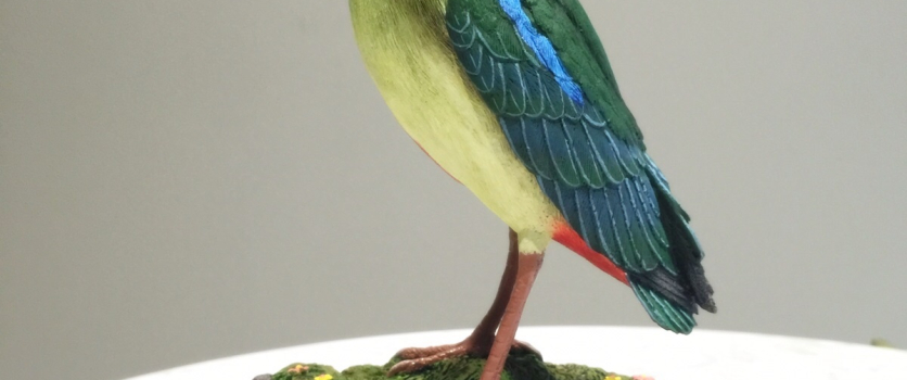 WWF-Hong Kong Corporate Membership Programme Awards Presentation Ceremony 15/16