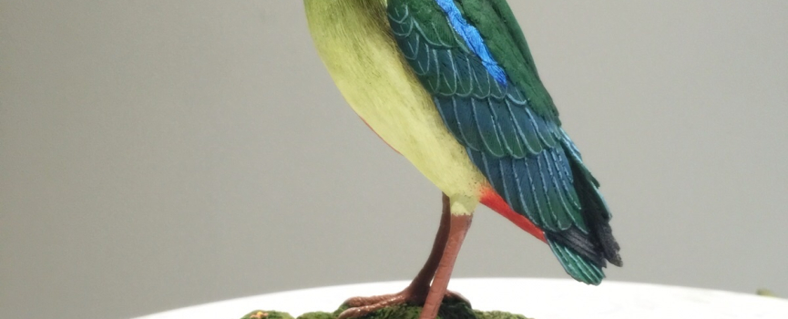 世界自然基金會香港分會公司會員計劃會籍頒授典禮15/16