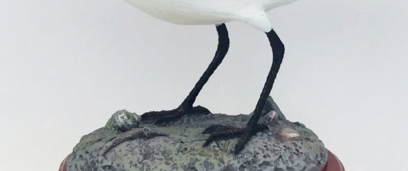 WWF-Hong Kong Corporate Sustainability Summit & Award Presentation 2017/18