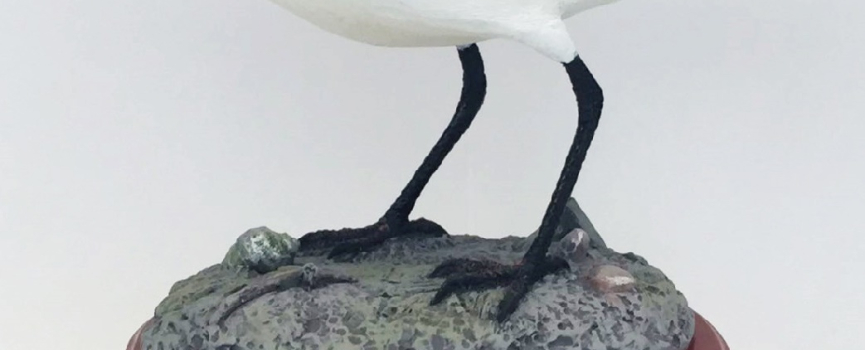 世界自然基金會香港分會公司會員計劃會籍頒授典禮 2017/18