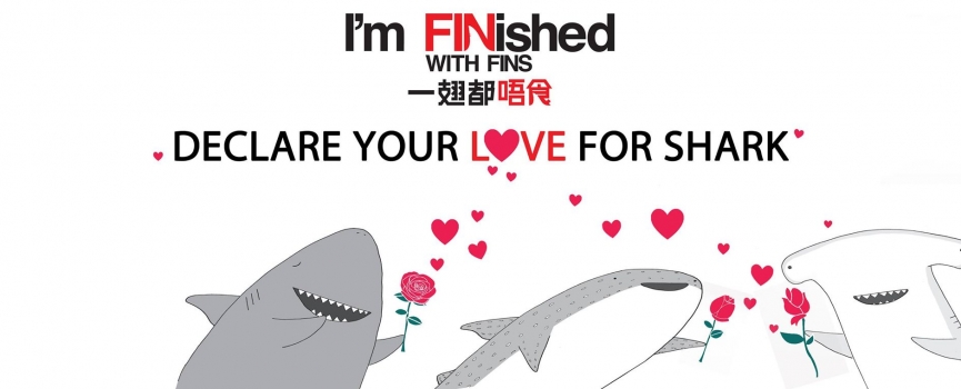 環球信貸．一翅都唔食