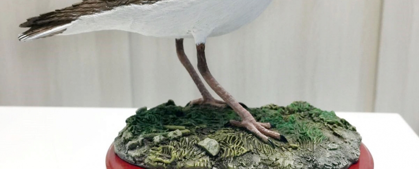 世界自然基金會香港分會公司會員計劃會籍頒授典禮 2016/17