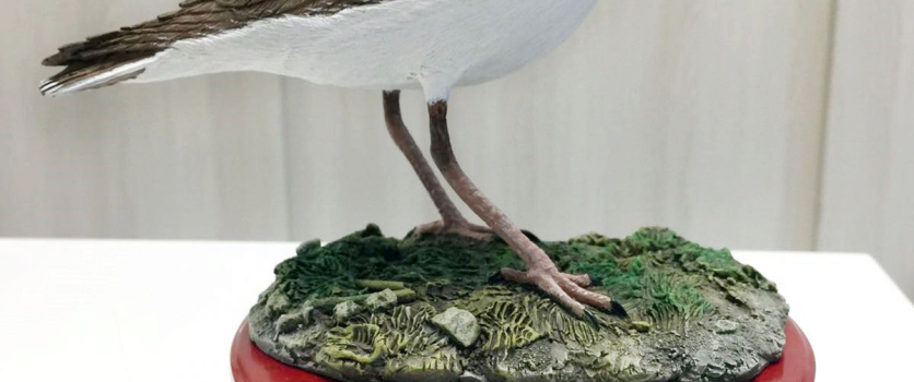 WWF-Hong Kong Corporate Membership Programme Awards Presentation Ceremony 2016/17