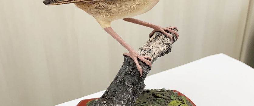 WWF-Hong Kong Corporate Sustainability Summit & Award Presentation 2018/19